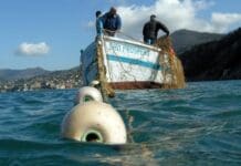 Aree Marine Protette, 6 milioni di euro per progetti di pesca sostenibile Tonnara Camogli