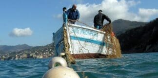 Aree Marine Protette, 6 milioni di euro per progetti di pesca sostenibile Tonnara Camogli