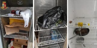 Genova – Pessime condizioni igieniche, chiuso un alimentari del centro storico