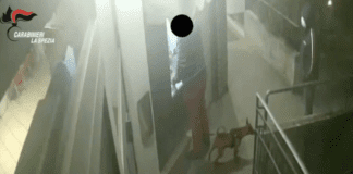 Sarzana, si apposta al bancomat e rapina un 62enne: arrestato – VIDEO