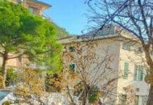 Quinto, albero crollato in piazza Frassinetti