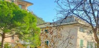 Quinto, albero crollato in piazza Frassinetti