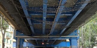 Genova, Metropolitana invasa dai piccioni e dal degrado a Brin Metro Brin piccioni