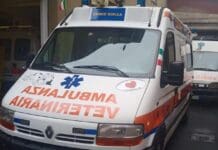 Albissola Marina, cane accoltellato e ucciso in spiaggia: 30enne a processo