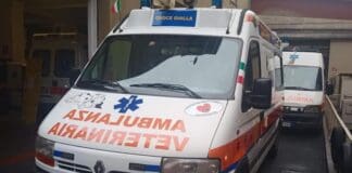 Imperia: tamponamento al casello, tre feriti gravi