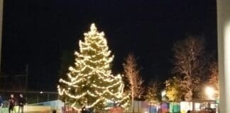 Danneggiato l’albero di Natale della Radura della Memoria del Ponte Morandi albero Natale radura memoria