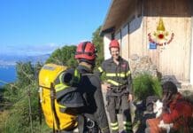 Cagnolino precipita dal sentiero, soccorso dai Vigili del Fuoco