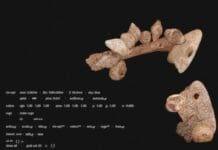 Neonata di 10mila anni fa trovata nel Savonese, Nature pubblica la notizia neonata mesolitico