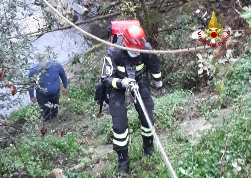 salvataggio can padrone Avegno