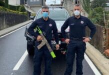 Vespa Velutina, in Portogallo sparano ai nidi con fucili caricati con insetticidi vespa velutina, protezione civile portogallo fucile