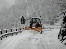 Allerta Gialla per neve confermata in Liguria neve strada spazzaneve