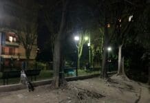 Marassi, proprietari di cani si tassano per le luci nei giardini Camoscio