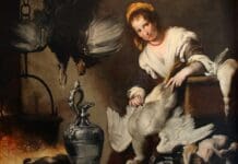 Genova, il soprintendente Piero Boccardo si dimette, stagione culturale a rischio? Bernardo Strozzi la cuoca