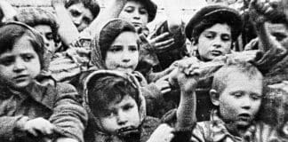 Giorno della Memoria a La Spezia, ecco le iniziative ebrei bambini campi concentramento shoah, giorno della Memoria