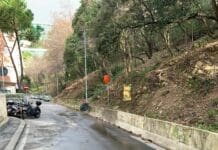 Marassi, iniziano i lavori in via Robino alta, i residenti: troppi alberi abbattuti Marassi via Robino Alta
