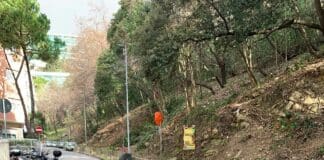 Marassi, iniziano i lavori in via Robino alta, i residenti: troppi alberi abbattuti Marassi via Robino Alta