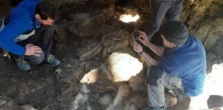 Il leone torna nella sua grotta a Villa Duchessa di Galliera