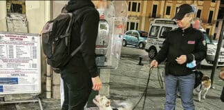 La Spezia, controlli antidroga. Il cane Leone fiuta quasi 30 grammi di hashish nascosti in città