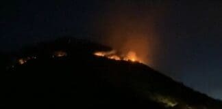 Genova, incendio sul Monte Moro, torna l’incubo piromani incendio monte Moro