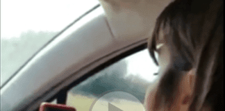 Bloccata dalla coda in Autostrada si laurea in video conferenza dalla macchina laurata in auto