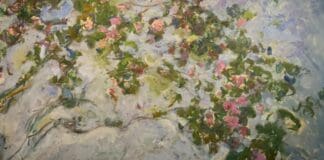 Monet, capolavori dal Musée Marmottan Monet in mostra a Palazzo Ducale – FOTO E VIDEO
