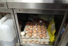 Genova, ancora controlli nei locali, chiuse cinque attività per carenze igienico sanitarie