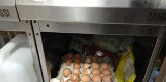 Scarse condizioni igieniche e cibi avariati, in un anno chiusi 30 locali a Genova