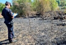 Incendio boschivo a Dego, carabinieri trovano il responsabile carabinieri forestali