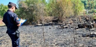Incendio boschivo a Dego, carabinieri trovano il responsabile carabinieri forestali