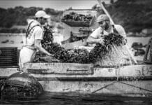 La Spezia, torna il concorso fotografico Mitilicoltori Mitilicoltori