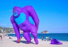 Torna il Festival del Vento di Spotorno Aquiloni Festival del Vento Spotorno