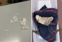 Operazione antidroga a Loano e Finale: sequestrati 50 grammi di cocaina e 20mila euro