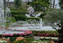 Euroflora, inaugurata a Genova l’edizione 2022 – VIDEO Euroflora