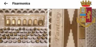 Ruba una fisarmonica la vende on line ma il proprietario la riconosce: denunciato
