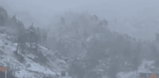 Neve sull’Autostrada A12 Genova – Livorno nel tratto appenninico verso La Spezia Neve autostrada A12 Genova Livorno