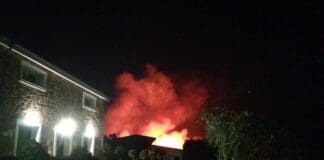 Incendio al canile di Sanremo, nessun animale è rimasto ucciso canile Sanremo incendio