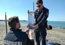 Marinella di Sarzana, sabbia sospetta sulla spiaggia per il ripascimento, scatta il sequestro carabinieri forestali spiaggia Marinella Sarzana