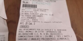 Genova, multa da 300 euro per aver mangiato seduto a terra, ora spunta il video multa pranzo sacco, vagabondaggio, Genova, notizie Genova, polizia locale, sanzioni, multe, liguriaoggi