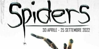 Genova, Ragni vivi in mostra al Museo di Storia Naturale con Spiders spiders ragni vivi