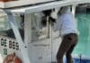Rapallo, sciame di api su barca a vela, l’equipaggio si butta in mare sciame api Darsena
