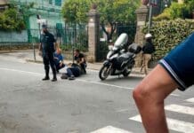 Rapallo, cinghiale urta uno scooter: ferito un uomo