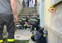Molassana, cane finisce in un cunicolo: salvato dai Vigili del Fuoco – Video