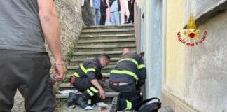 Molassana, cane finisce in un cunicolo: salvato dai Vigili del Fuoco – Video