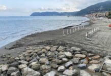 Alassio, stop ai ripascimenti nel week end alassio spiaggia ripascimenti