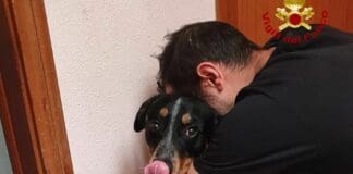 Chiavari, incendio in un appartamento, Vigili del Fuoco salvano un cane cane salvato incendio chiavari
