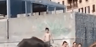 Genova, grosso cinghiale aggredisce persone sulla spiaggia di Sturla cinghiale spiaggia Sturla Genova