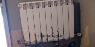 Genova, cuccioli abbandonati alla Foce, identificato il responsabile, cagnolini tornano con la mamma cuccioli abbandonati Foce Genova