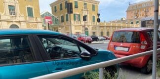 Genova, il Mercato di corso Sardegna cresce ma lo fanno anche le erbacce erbacce Mercato corso Sardegna Genova