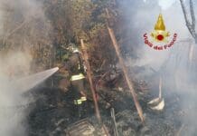 Rovegno, incendio in un capannone, pericolo per il bosco vicino vigili del fuoco incendio Ameglia, fiamme