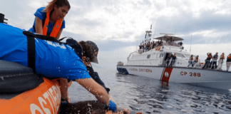 Genova, liberate in mare due tartarughe salvate dai veterinari dell’Acquario tartarughe salvate Genova